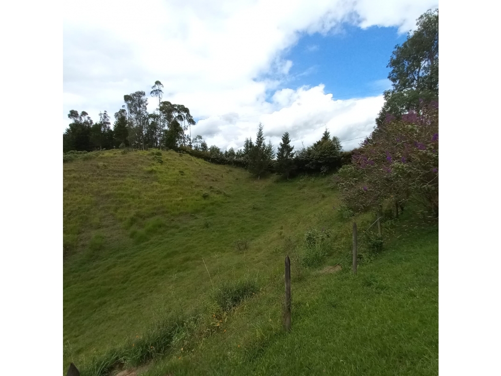 Finca en Venta en Rionegro - Rural — foto 5