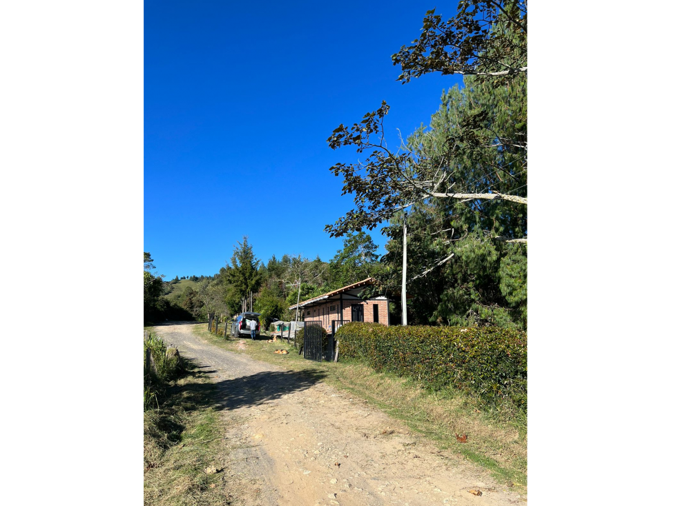 Finca en Venta en Abejorral - Rural - 2