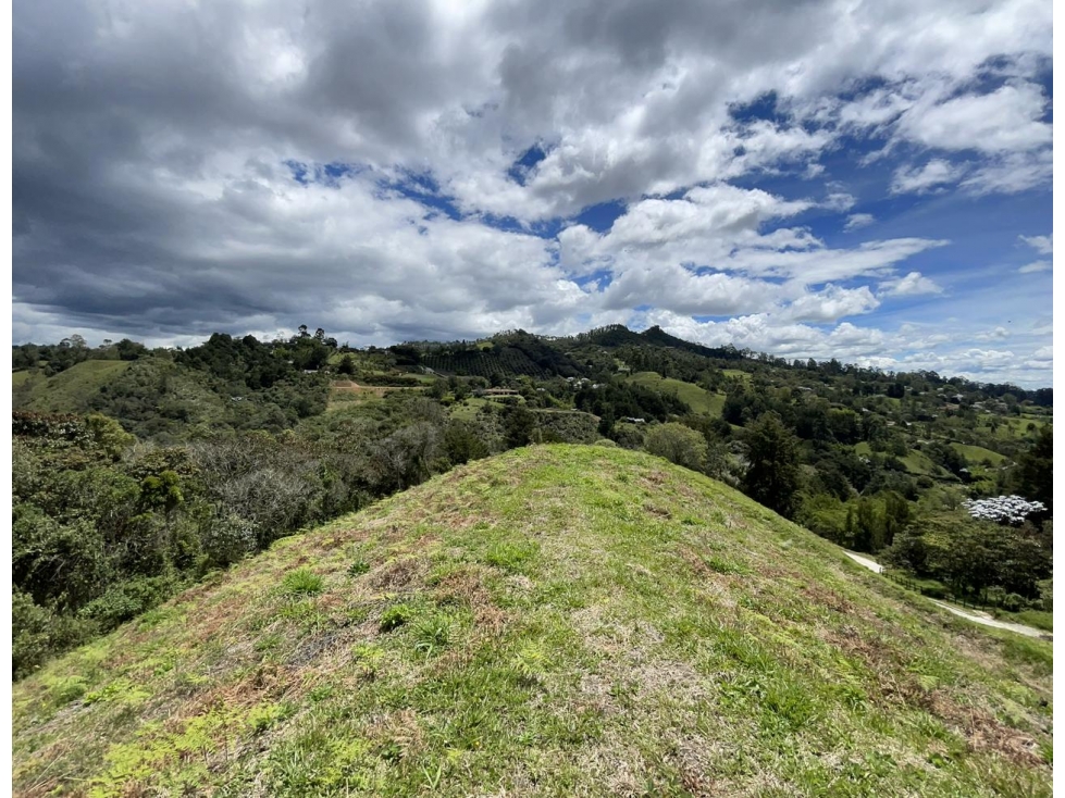 Lote para venta en Rionegro - Higueron