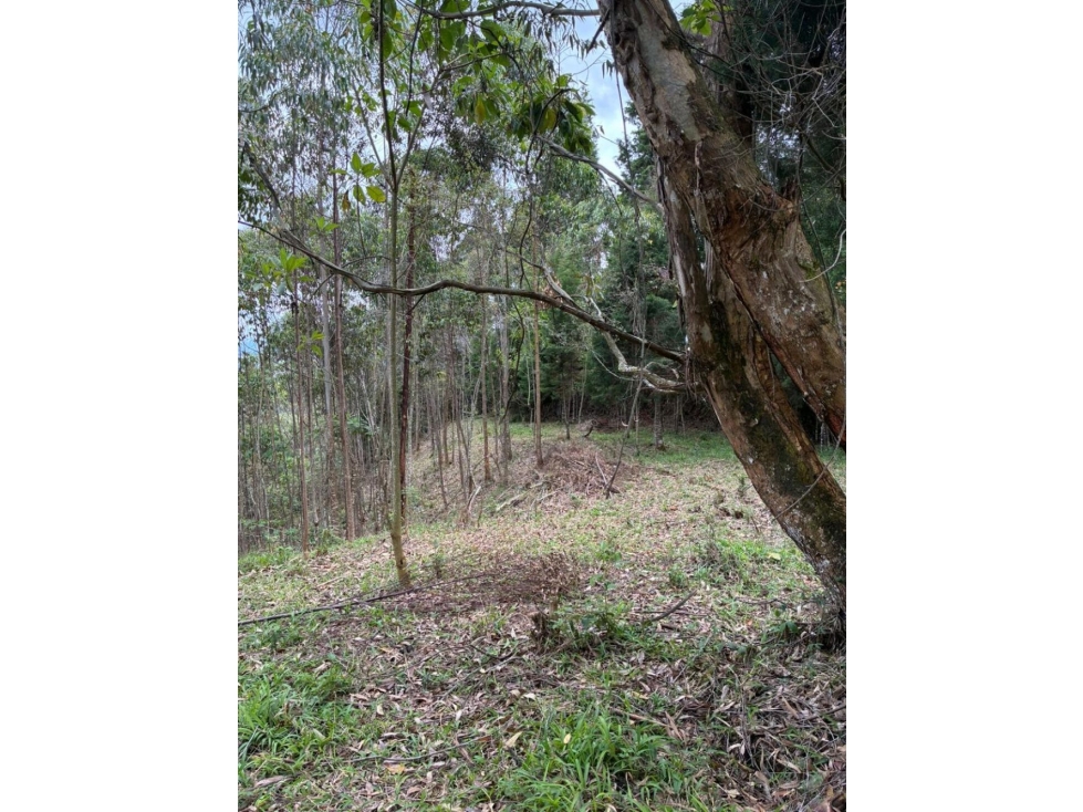 Lote independiente para venta en Rionegro — foto 5