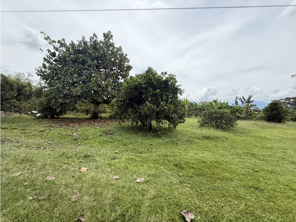 Se Vende Lote Rural Cerca Al Club Campestre De Armenia — foto 6