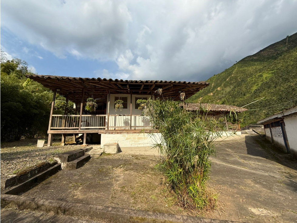 Finca Cafetera A La Venta Santa Rosa De Cabal — foto 5