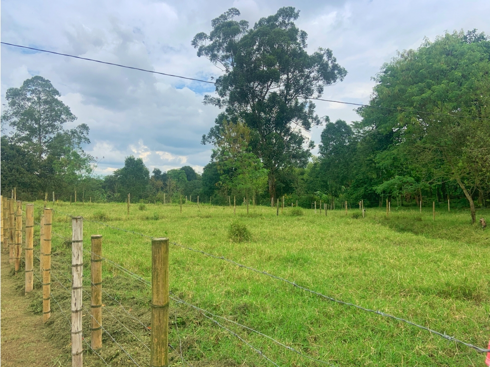 Se Vende Lote Sub-Urbano Armenia Quindio El Caimo — foto 2