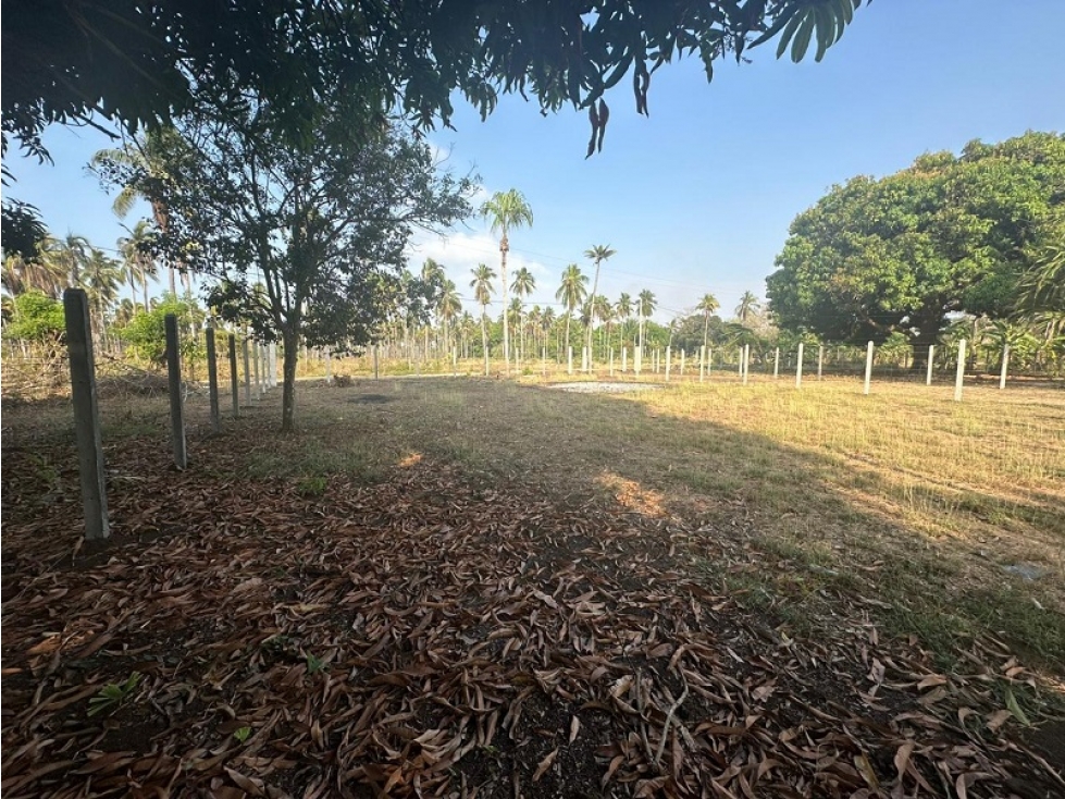 VENTA LOTE SAN BERNARDO DEL VIENTO, MONTERIA