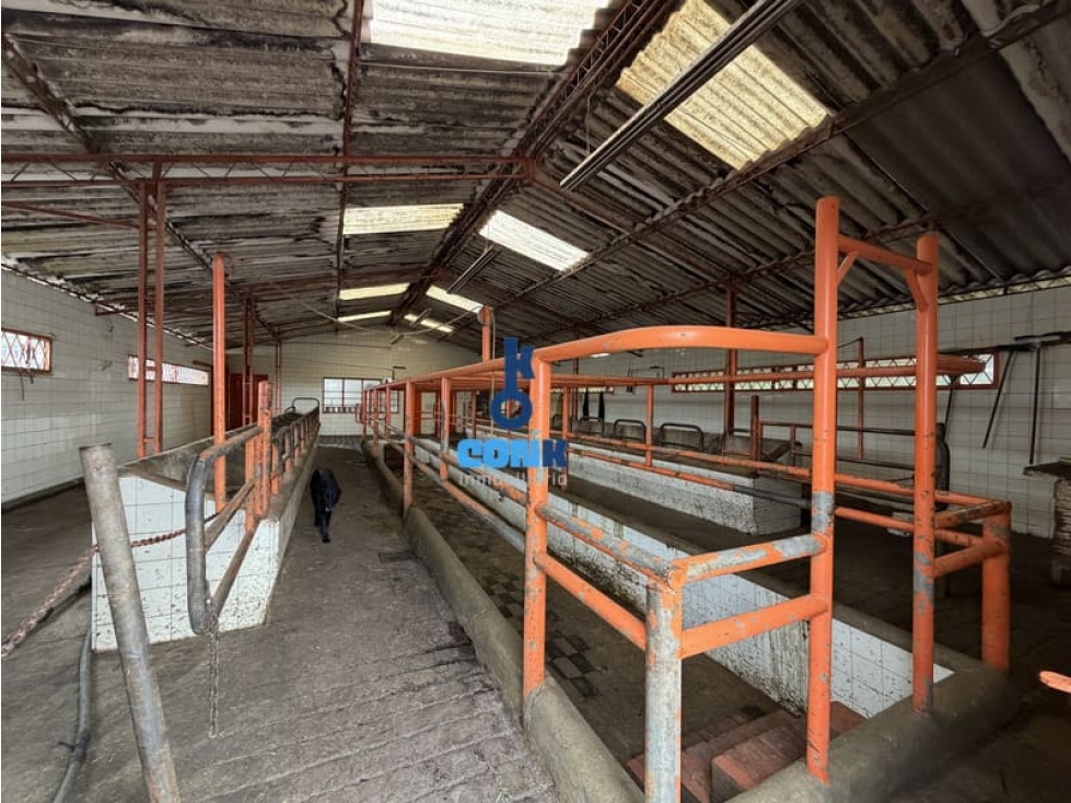 VENTA FINCA EL ROSAL, CUNDINAMARCA - 6