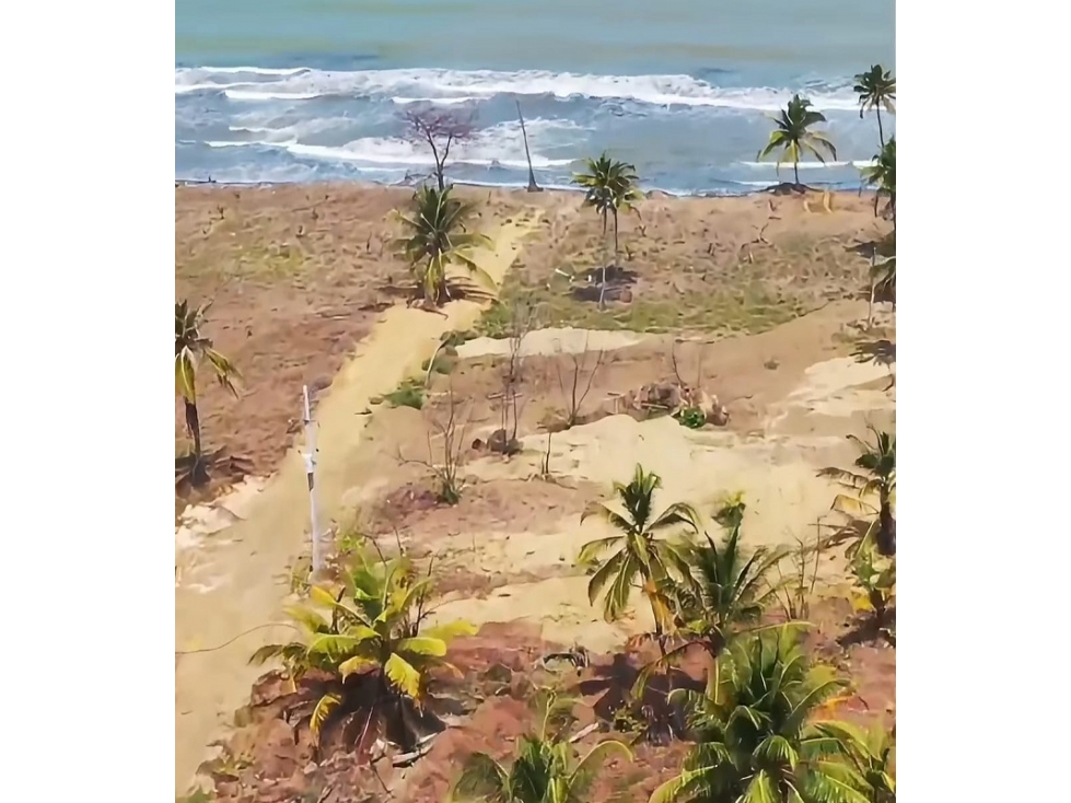 VENTA LOTE SAN BERNARDO DEL VIENTO, MONTERIA — foto 5
