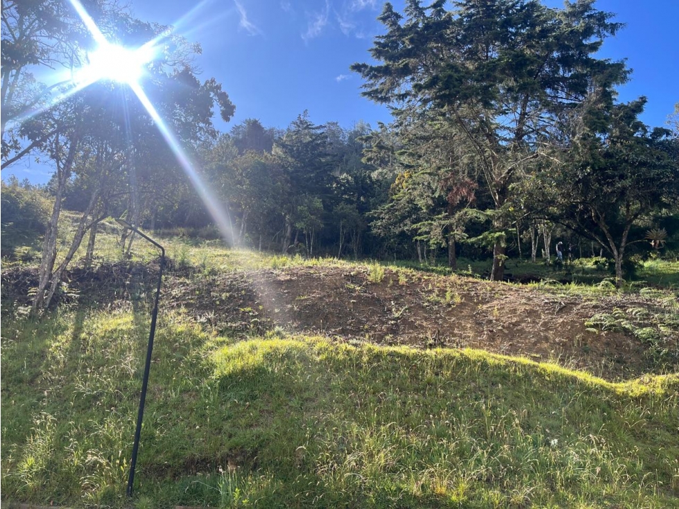 LOTE EN VENTA VÍA DON DIEGO- EL RETIRO VEREDA EL CHUSCAL — foto 2