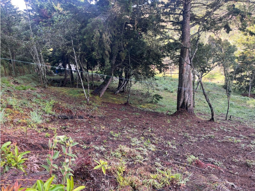 LOTE EN VENTA VÍA DON DIEGO- EL RETIRO VEREDA EL CHUSCAL — foto 4