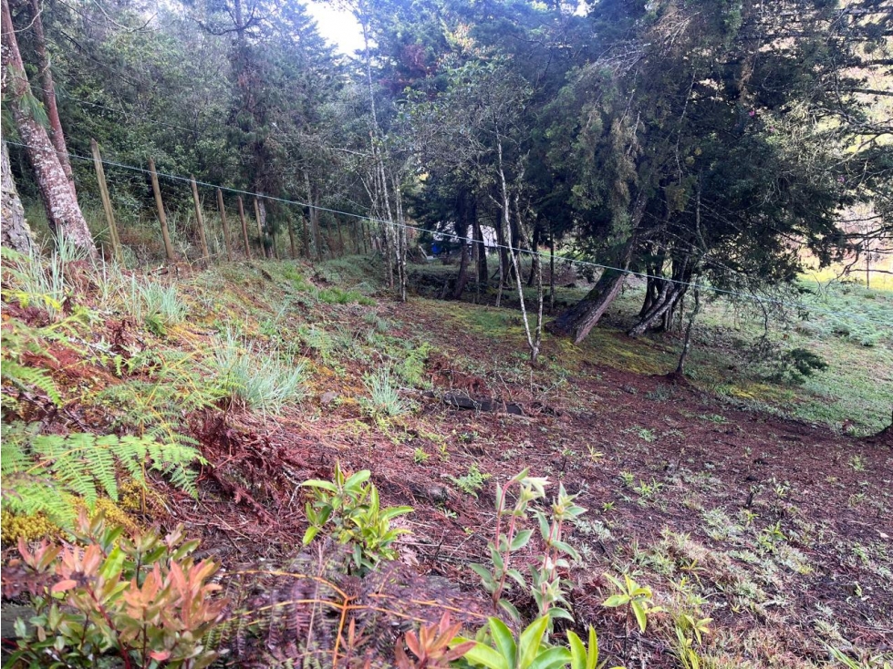 LOTE EN VENTA VÍA DON DIEGO- EL RETIRO VEREDA EL CHUSCAL — foto 5