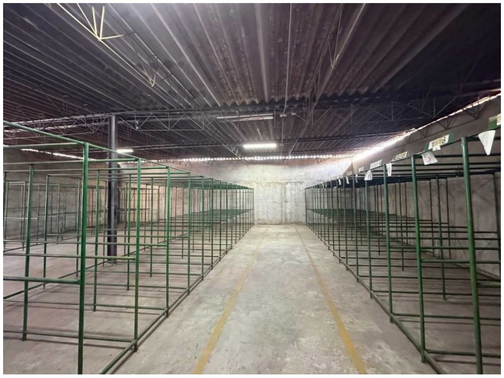 BODEGA DE 1.200 MTS2 EN SAN JUAN CON LA NUTIBARA - 5