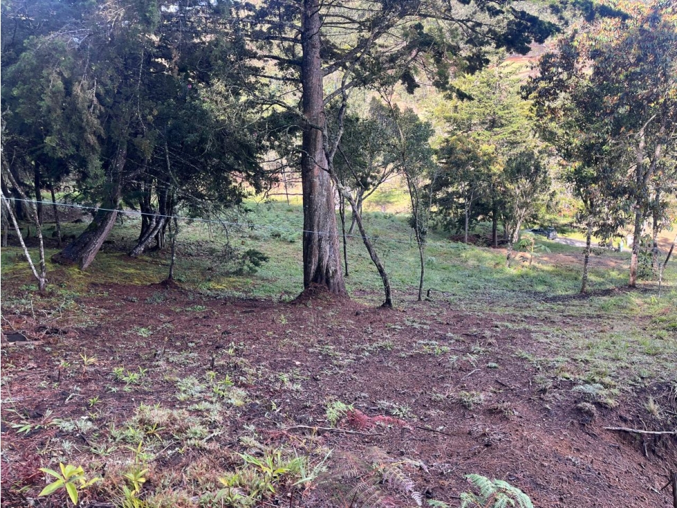 LOTE EN VENTA VÍA DON DIEGO- EL RETIRO VEREDA EL CHUSCAL — foto 6