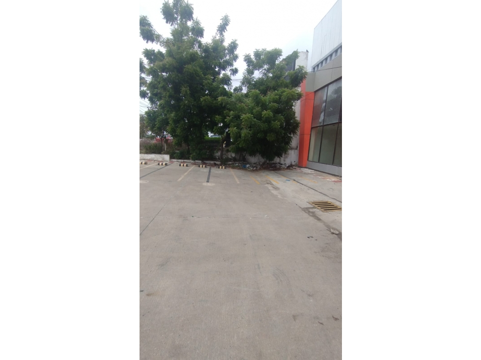 bodega calle 30 - 5