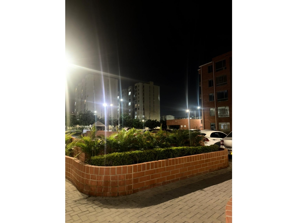 APATO EN CANARIO (ALAMEDA DEL RIO) — foto 2