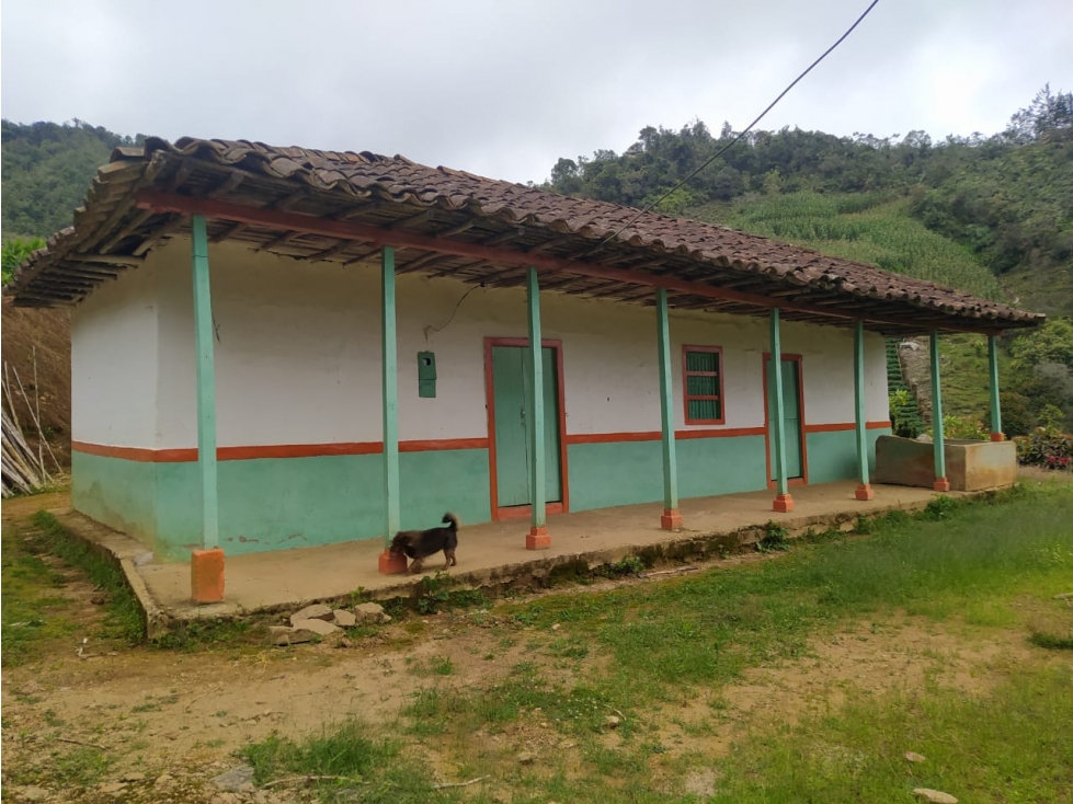 FINCA EN VENTA SAN VICENTE APTA PARA AGRICULTURA