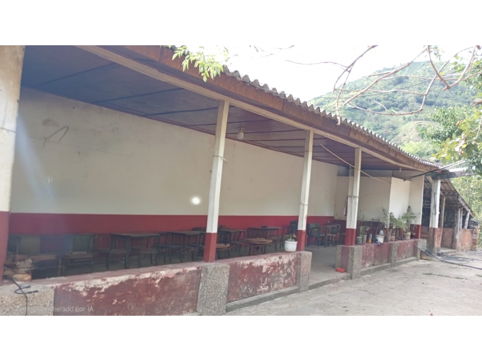 Venta de casa campesina - productiva en Montebello- Sabaletas. - 3