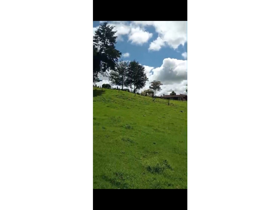 Venta de Lotes en San Pedro de los Milagros Antioquia — foto 2