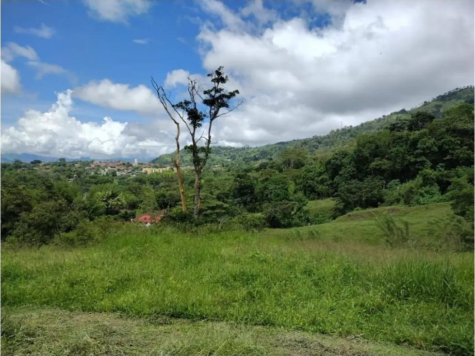 Venta de Lote en Valparaiso- antioquia. — foto 3