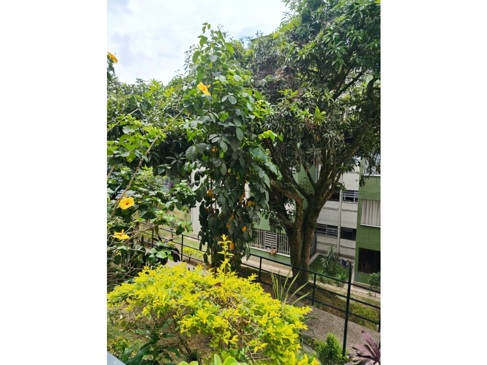 APARTAMENTO EN VENTA BELEN LAS MERCEDES — foto 6