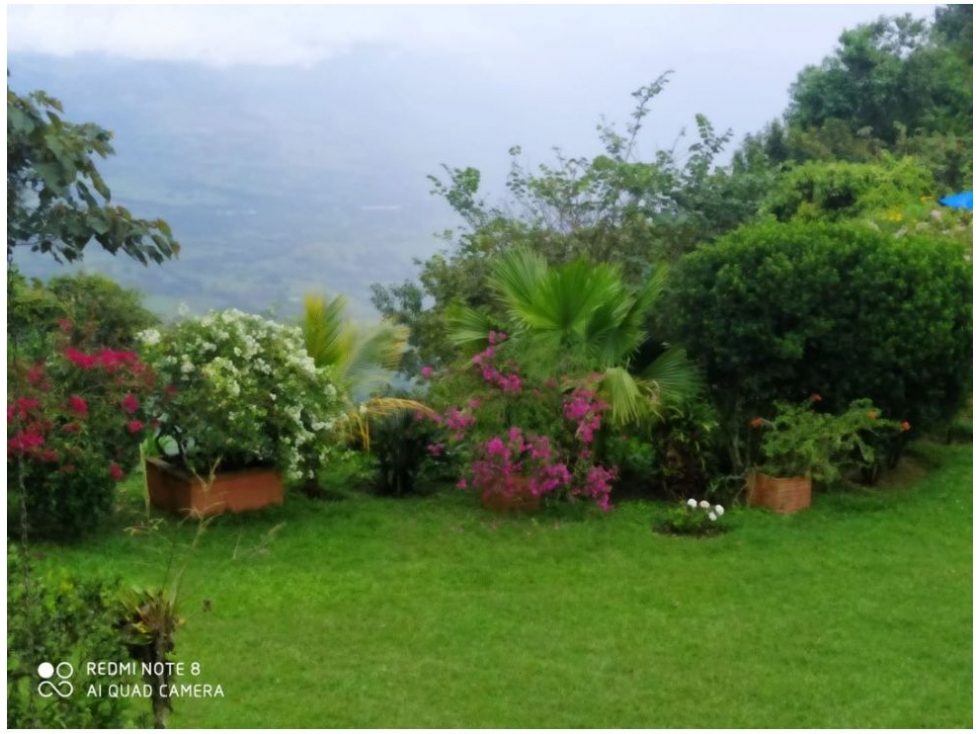 Venta de Finca - Fredonia - 6
