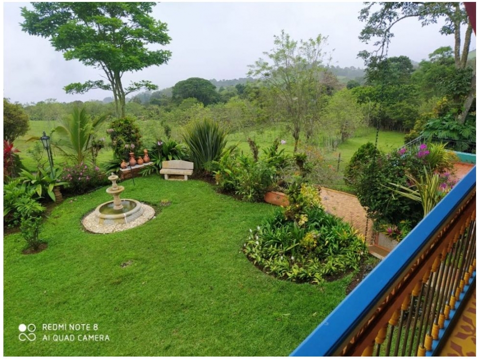 Venta de Finca - Fredonia - 5