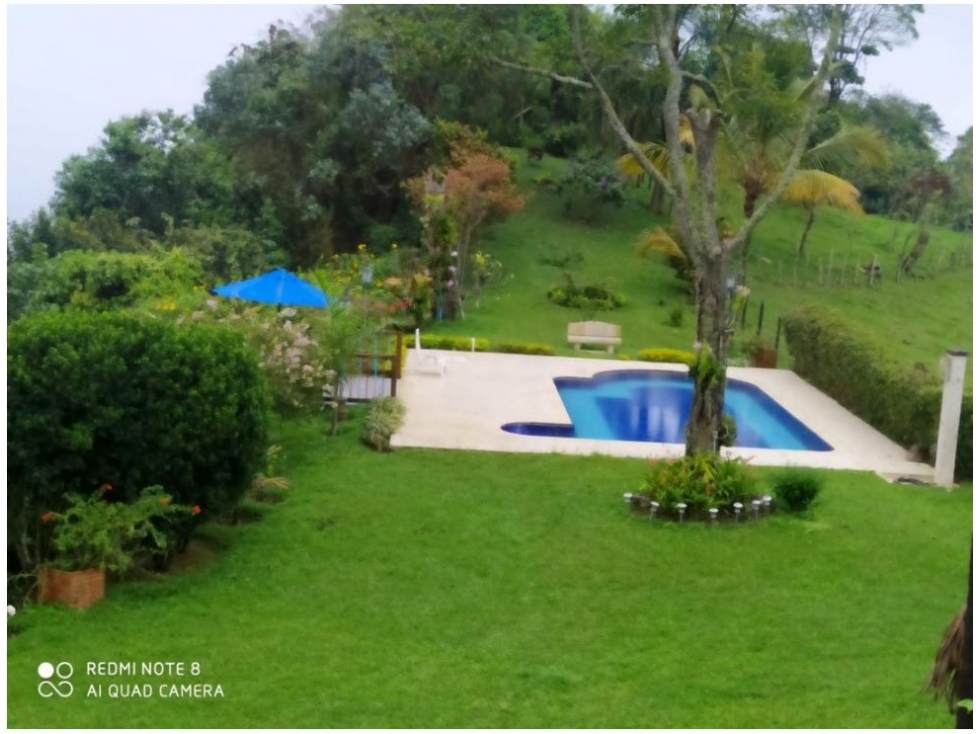 Venta de Finca - Fredonia - 4