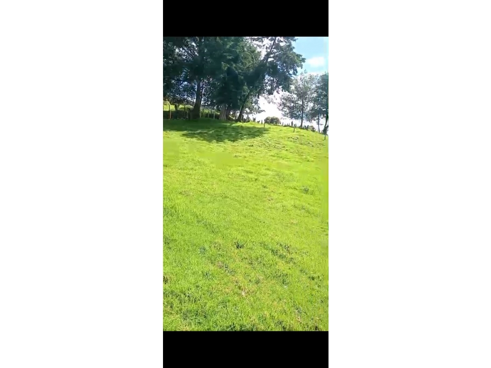 Venta de Lotes en San Pedro de los Milagros Antioquia — foto 5
