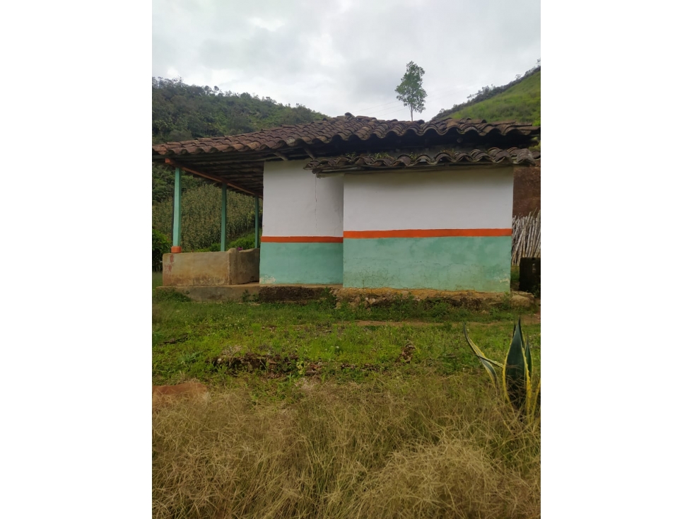 FINCA EN VENTA SAN VICENTE APTA PARA AGRICULTURA — foto 2