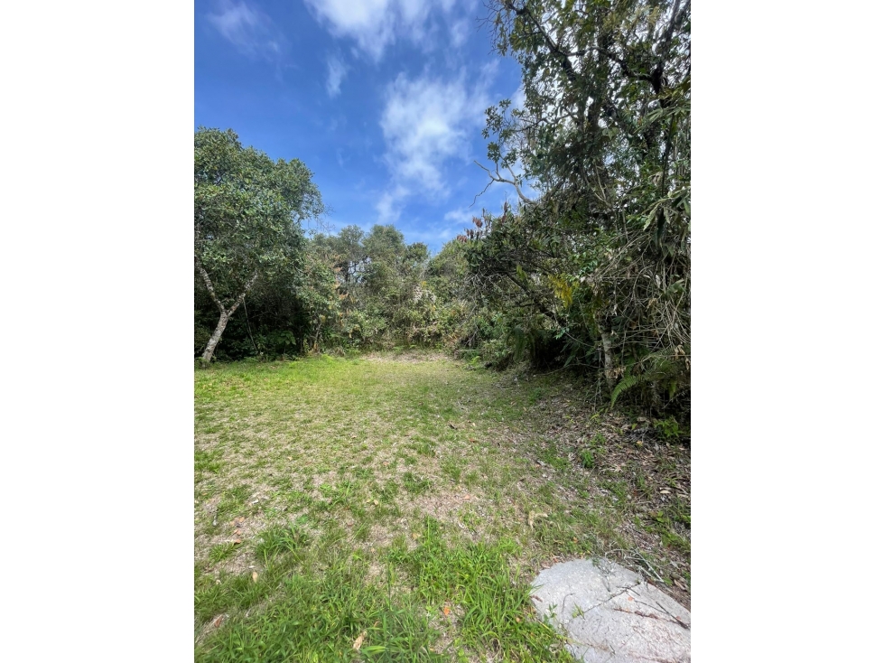 Lote con bosque en Parcelación Altos de la Molina Guarne — foto 4