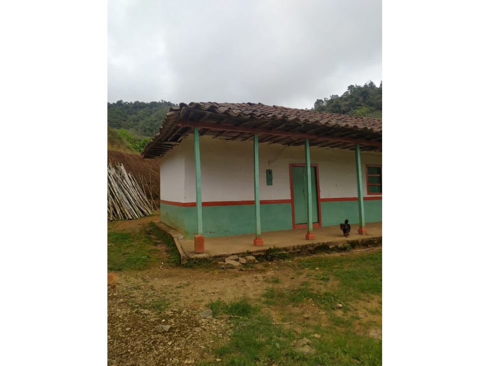 FINCA EN VENTA SAN VICENTE APTA PARA AGRICULTURA — foto 3