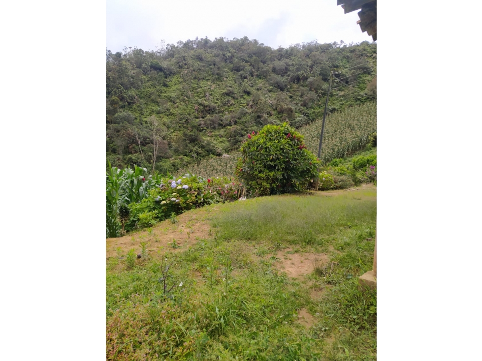 FINCA EN VENTA SAN VICENTE APTA PARA AGRICULTURA — foto 4