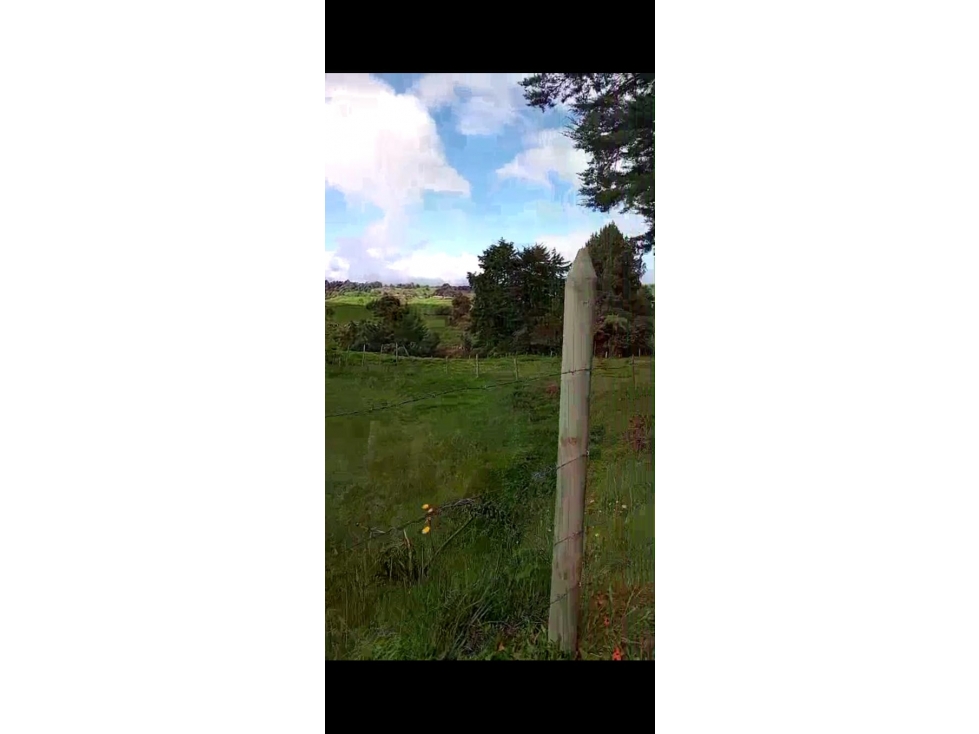 Venta de Lotes en San Pedro de los Milagros Antioquia — foto 3