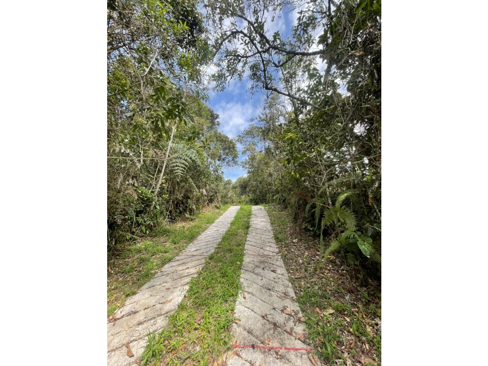 Lote con bosque en Parcelación Altos de la Molina Guarne — foto 6