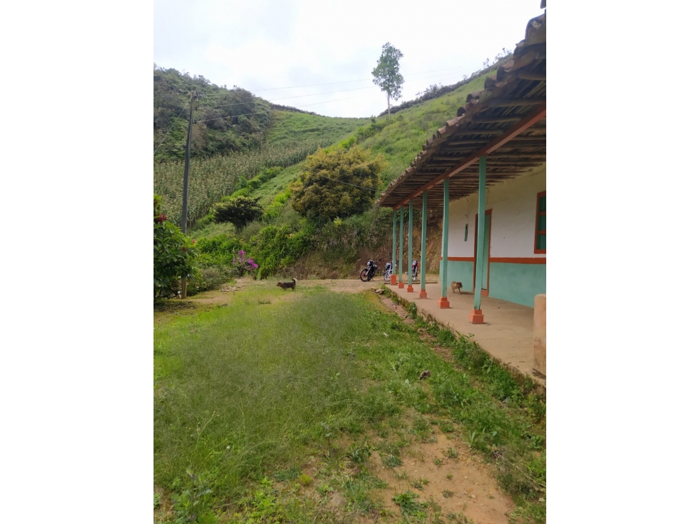 FINCA EN VENTA SAN VICENTE APTA PARA AGRICULTURA — foto 5