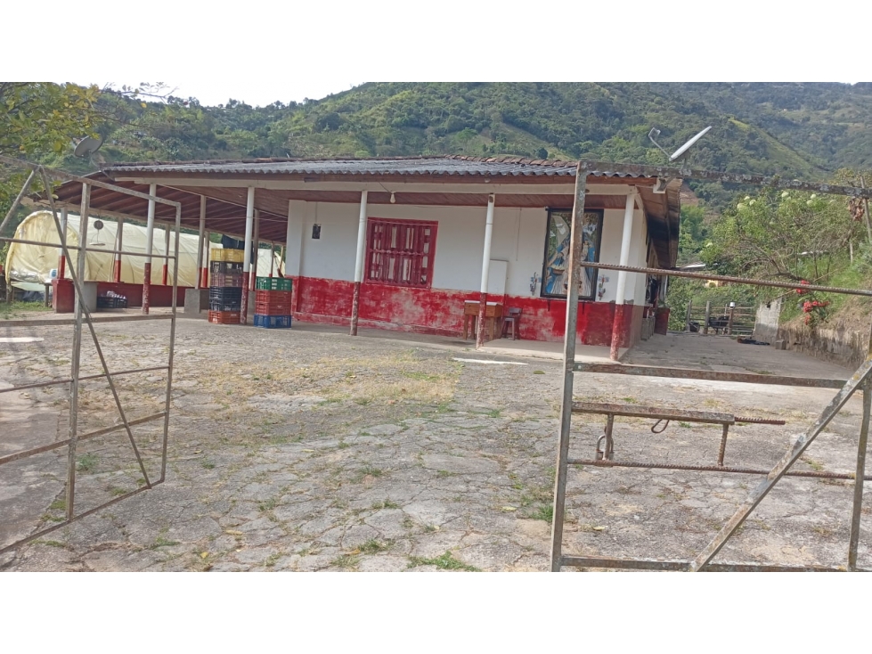Venta de casa campesina - productiva en Montebello- Sabaletas. - 1