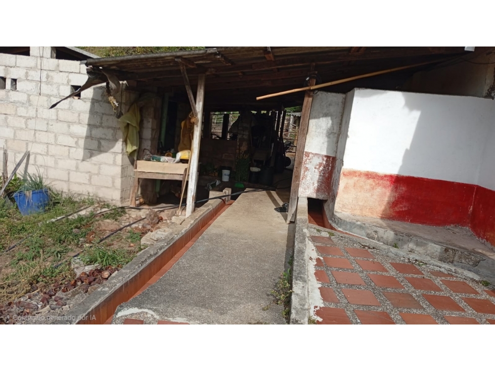 Venta de casa campesina - productiva en Montebello- Sabaletas. - 4