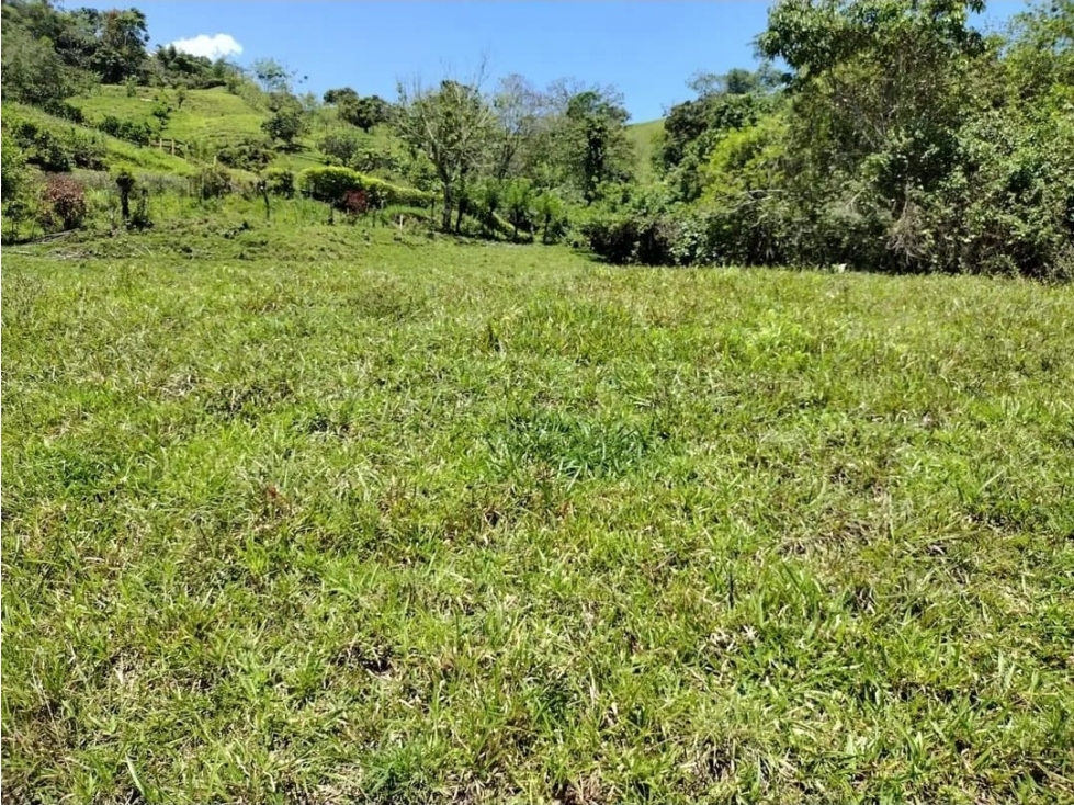 Venta de Lote en Valparaiso- antioquia. — foto 4