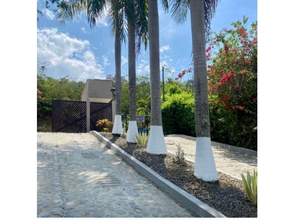 VENTA DE FINCA EN SOPETRAN ANTIOQUIA — foto 2