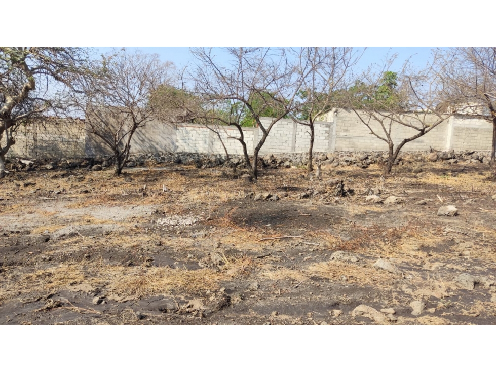 Terreno al sur del Estado de Morelos - 1