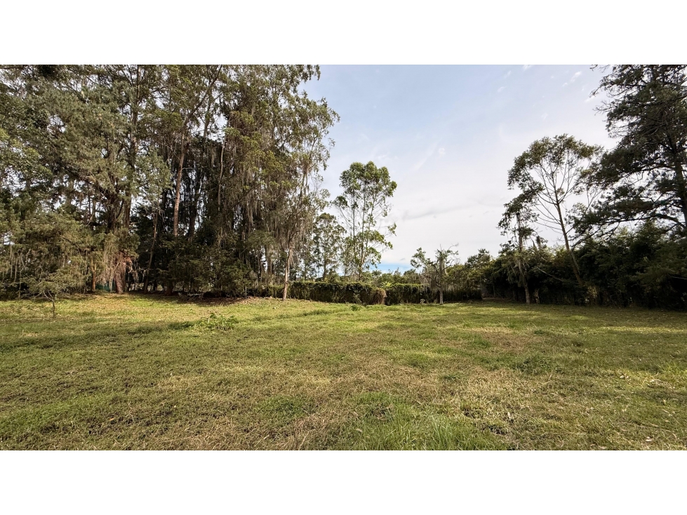 Venta de Lote en Rionegro