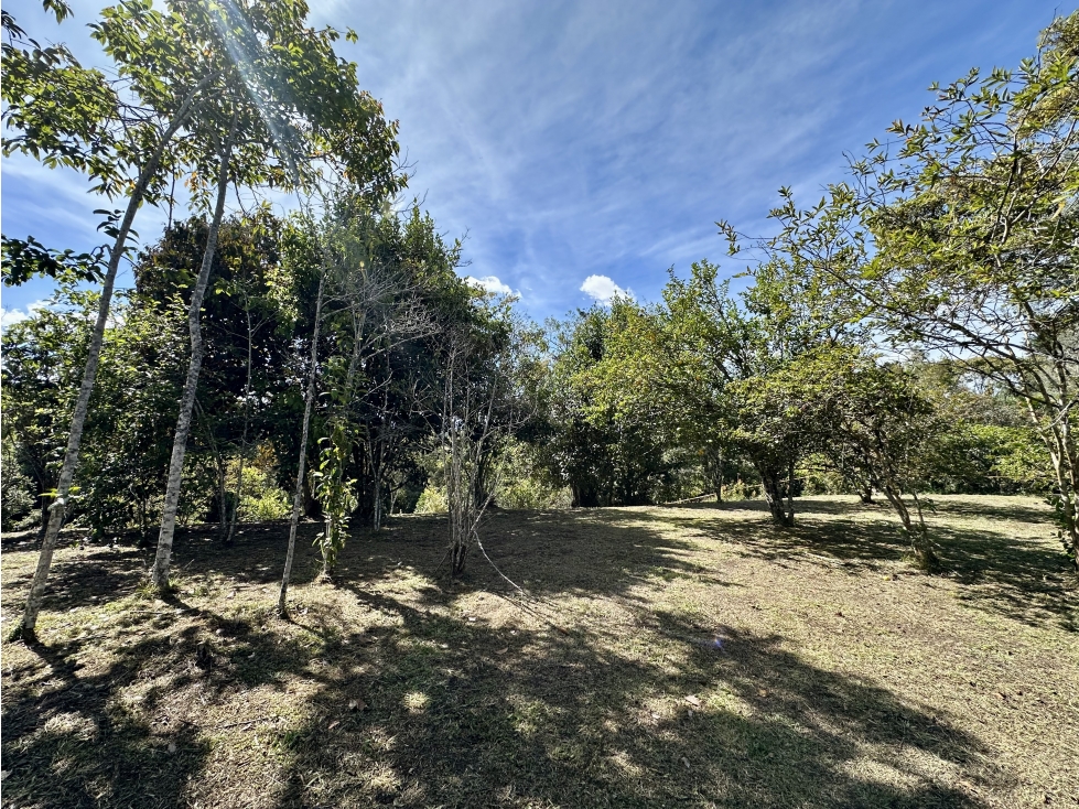 Venta De Lote en Rionegro Vilachuaga - 4