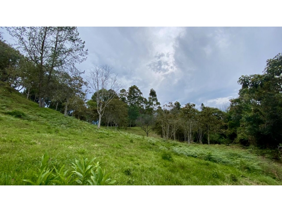 Venta de Lote En Rionegro Pontezuela — foto 2
