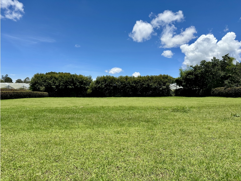 Venta de Lote En Rionegro Llanogrande — foto 5