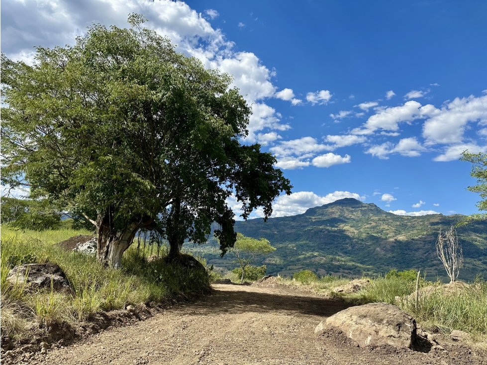 Venta De Lotes En Proyecto En El Suroeste - 2