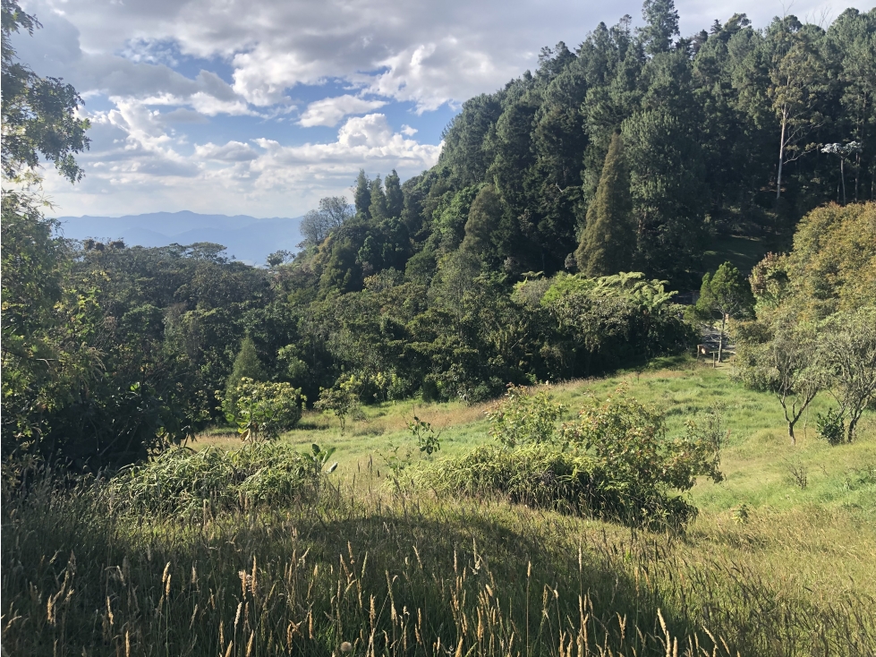Venta de lote en el Alto de las Palmas Envigado - 1