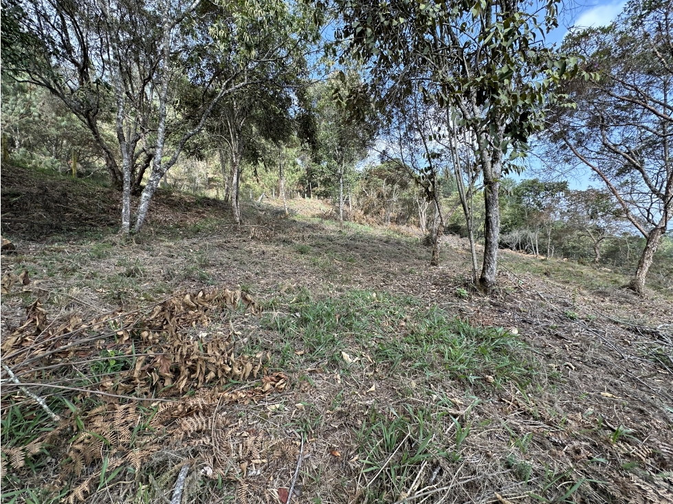 Venta de Lote en Las Palmas El Retiro — foto 3