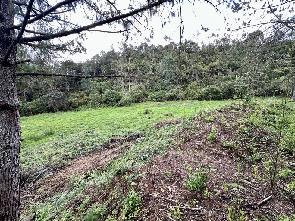 Venta de Lote en el Retiro