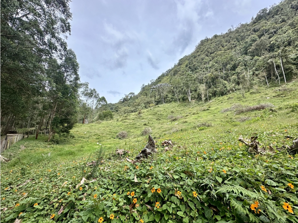 Venta de Lote En Rionegro Eafit Via Llanogrande