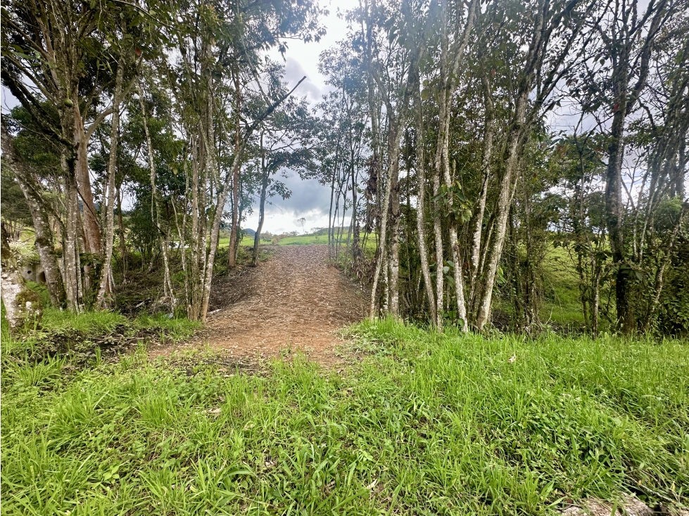 Venta De Lote En La Ceja