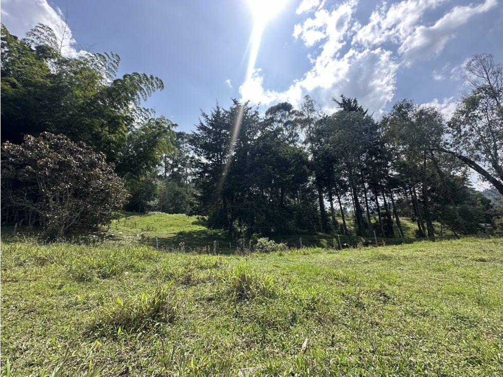 Venta De Lote En Rionegro Llanogrande Sector Eafit
