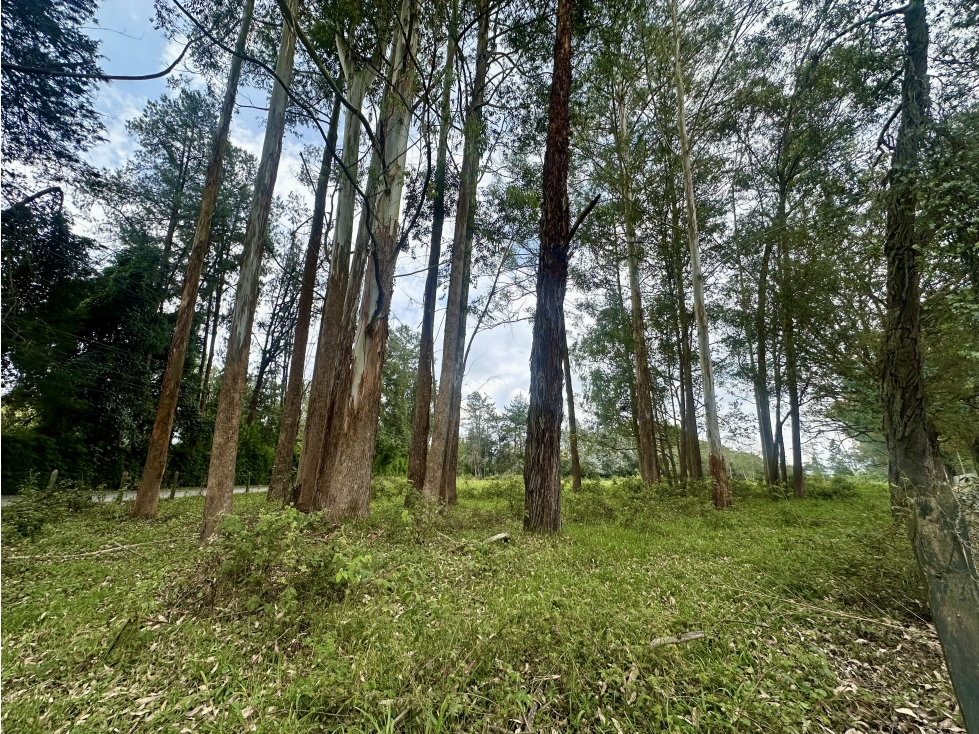 Venta de Lote En Rionegro Vilachuagua